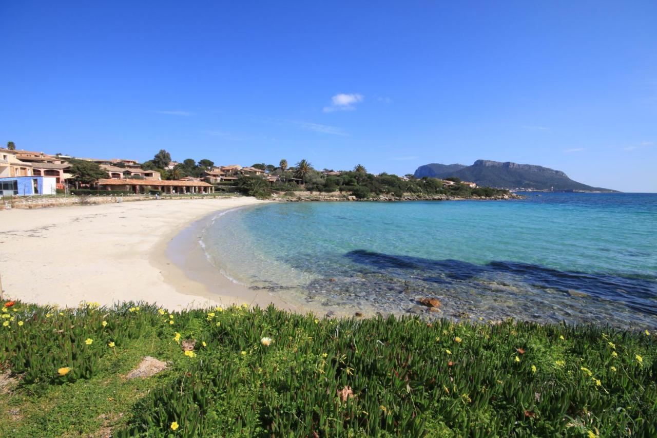 Le Case Del Golfo - Your House In Sardinia غولفو أرانتْشي المظهر الخارجي الصورة